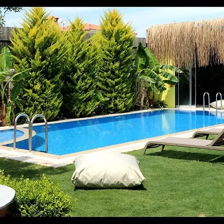 Viola (adults Only) 2* אלאקאטי