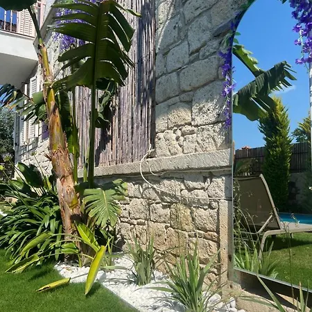 מלון Viola (adults Only) 2*