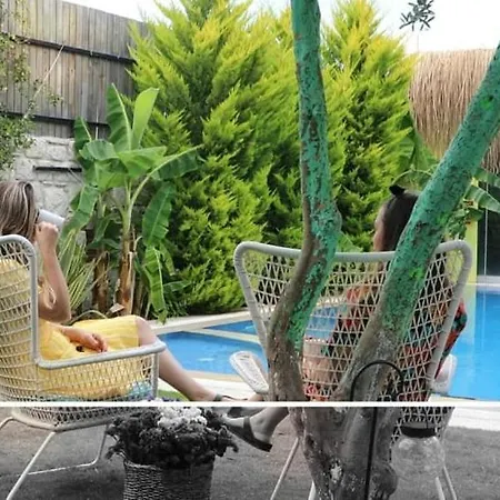 Viola (adults Only) Alacati