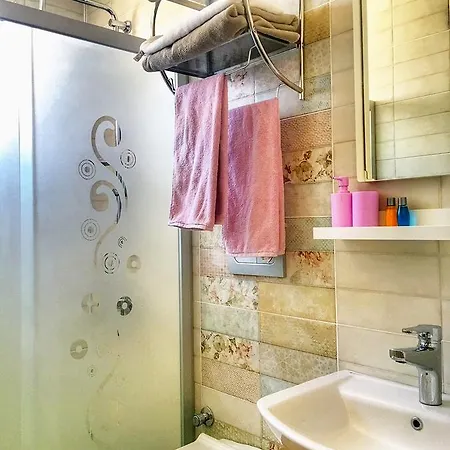 Viola (adults Only) אלאקאטי