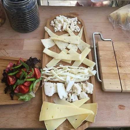 Viola (adults Only) אלאקאטי