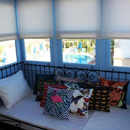 Viola (adults Only) אלאקאטי