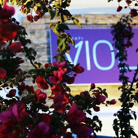 מלון Viola (adults Only) 2*