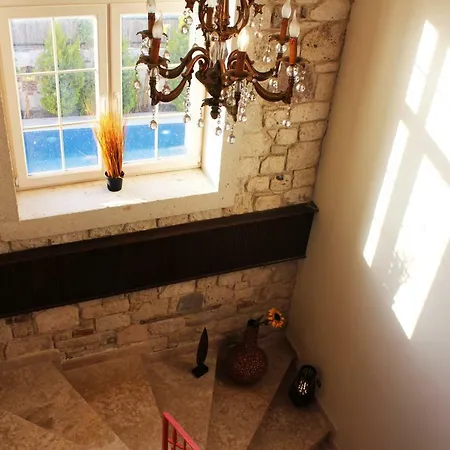 Viola (adults Only) מלון