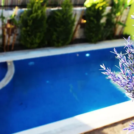 Viola (adults Only) Hotel Alacati