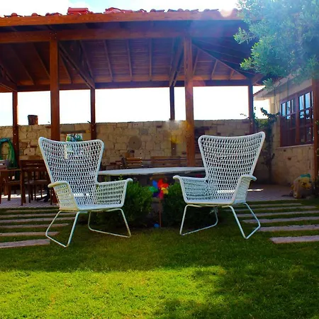 Viola (adults Only) אלאקאטי