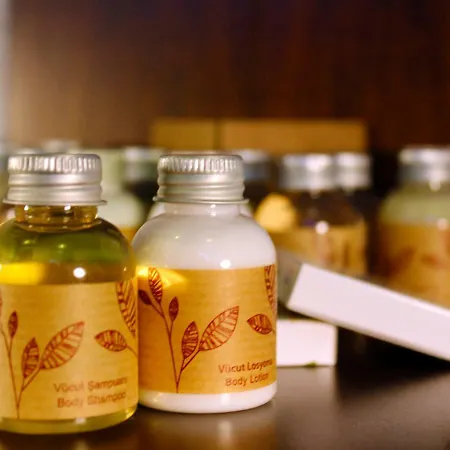 Hotel Viola (adults Only) 2*