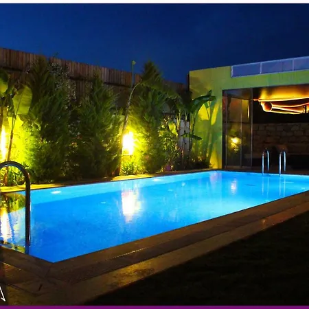 Viola (adults Only) Hotel