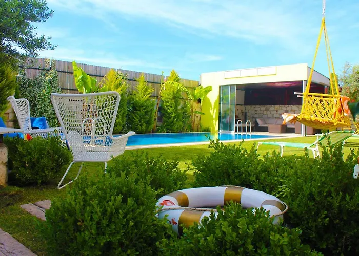 Hotel Viola (adults Only)