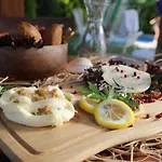 Viola (adults Only) Αλακάτι