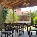 Viola (adults Only) Αλακάτι