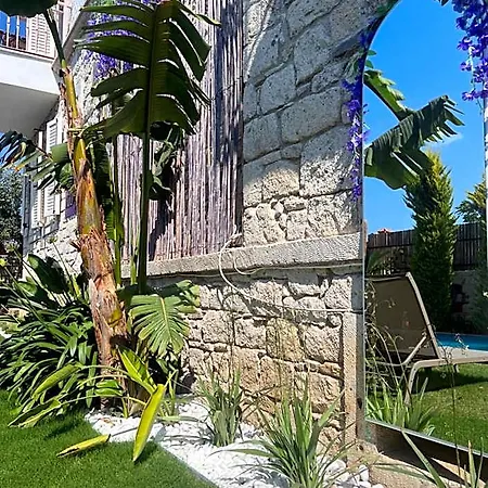 Viola (adults Only) Hotel 2*