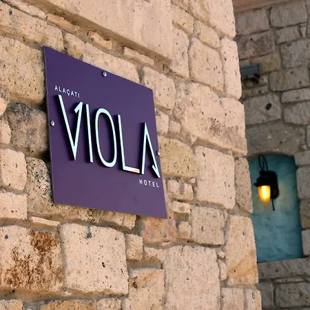 Viola