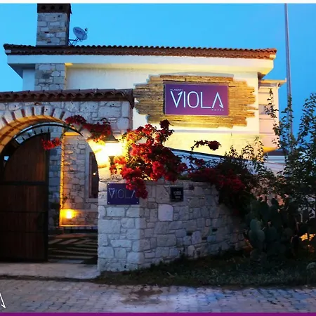 Viola Otel 2*