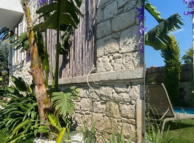 Otel Viola (adults Only) 2*